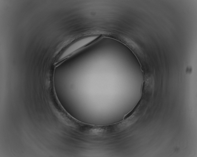 X0000092240158200710051246