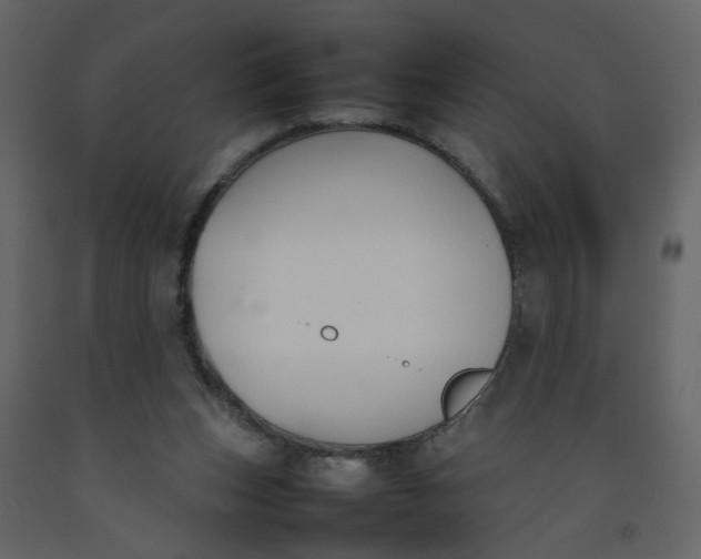 X0000092240159200710051246