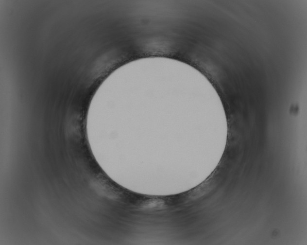 X0000092240162200710051246
