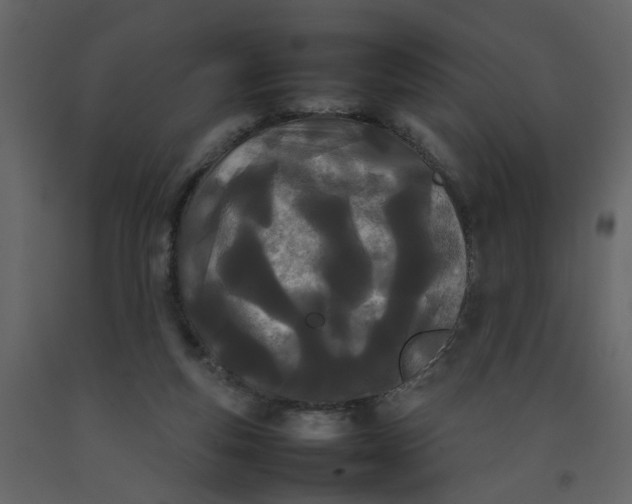 X0000092240163200710051246
