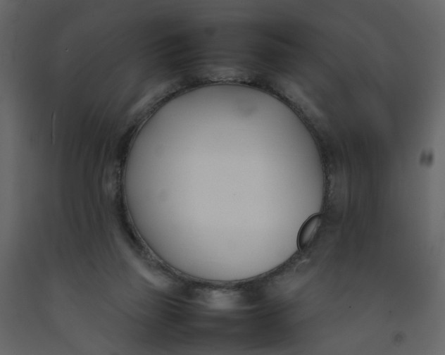 X0000092240165200710051246