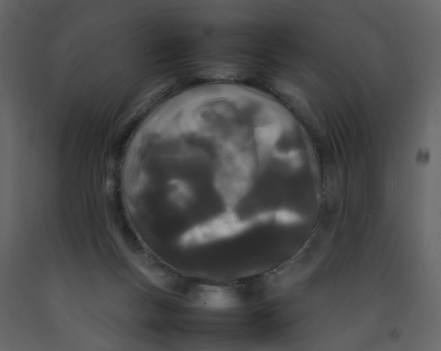 X0000092240167200710051246