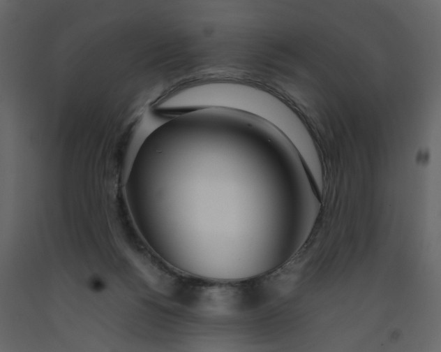 X0000092240168200710051246