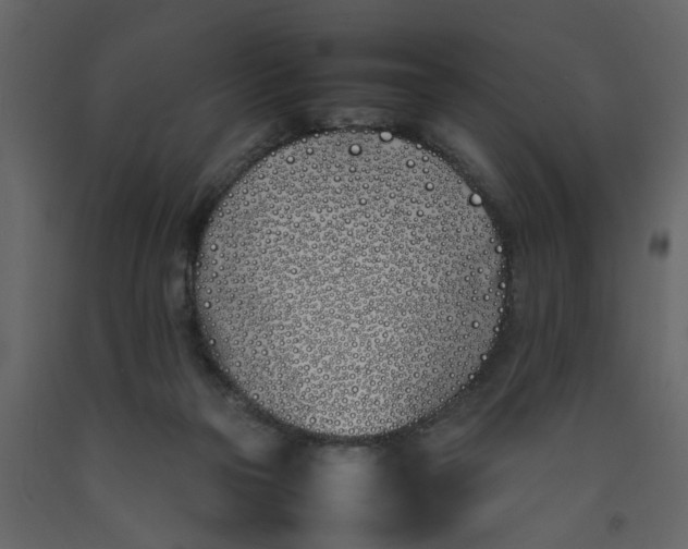 X0000092240169200710051246