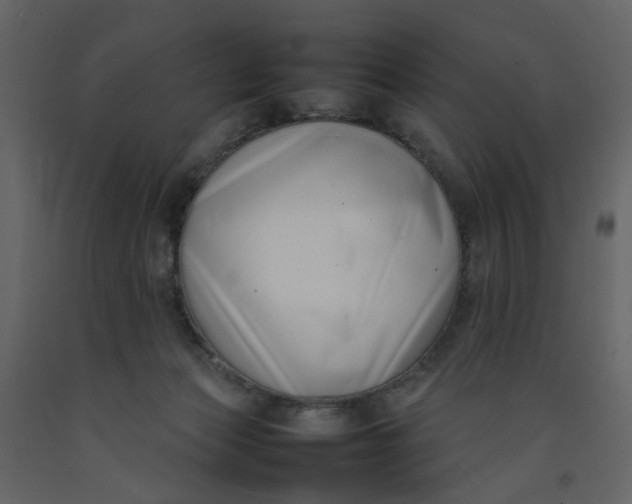 X0000092240173200710051246