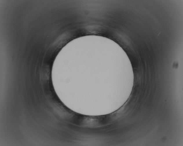 X0000092240174200710051246