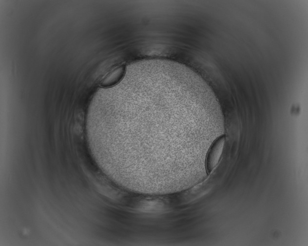 X0000092240175200710051246