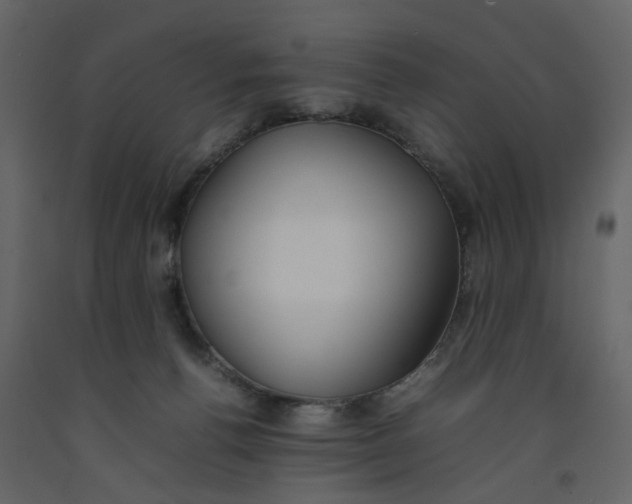X0000092240176200710051246