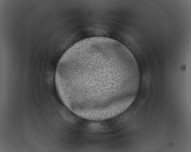 X0000092240177200710051246
