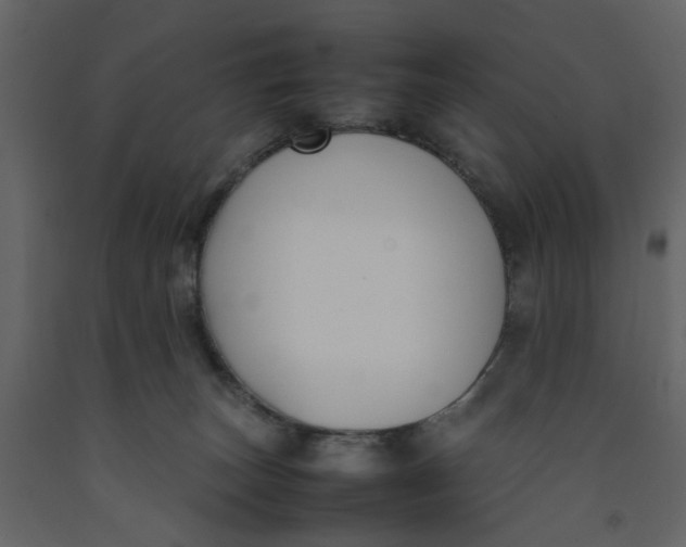 X0000092240179200710051246