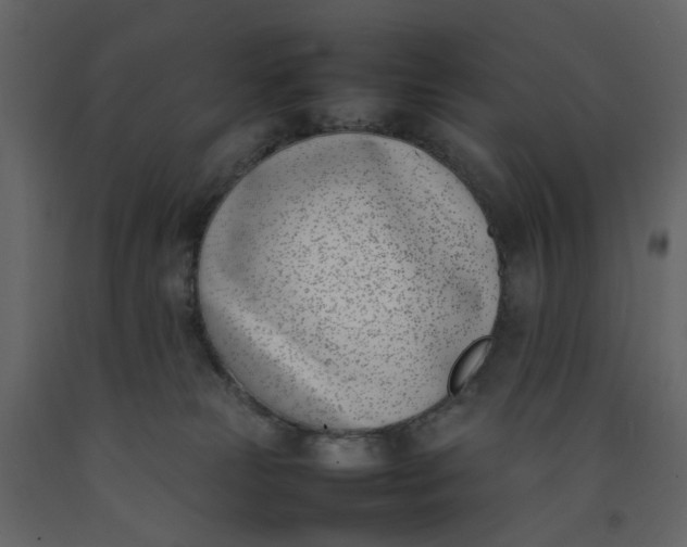 X0000092240181200710051246