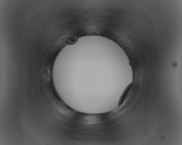 X0000092240183200710051246