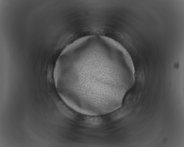 X0000092240185200710051246