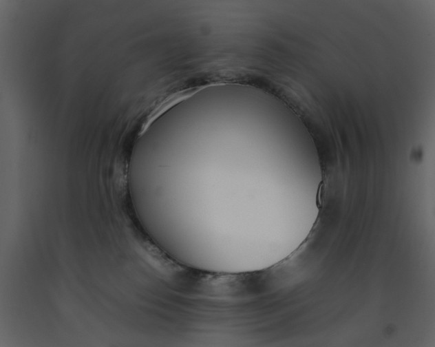 X0000092240186200710051246