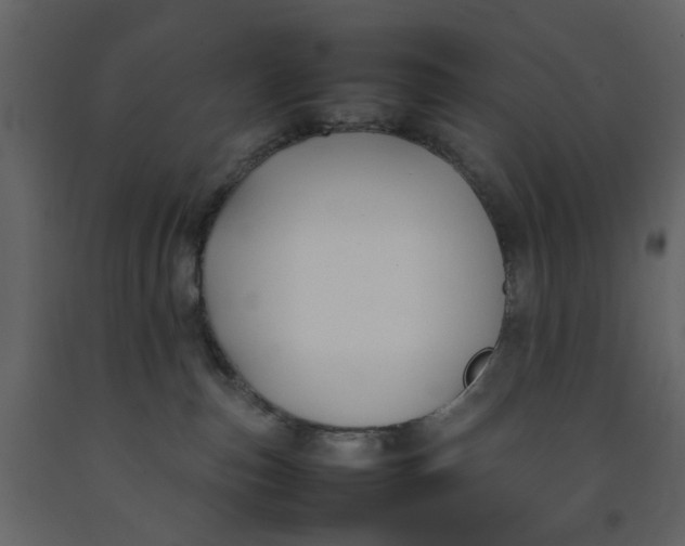 X0000092240187200710051246