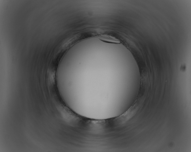 X0000092240188200710051246