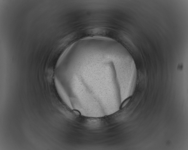 X0000092240189200710051246