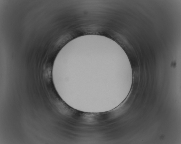 X0000092240190200710051246