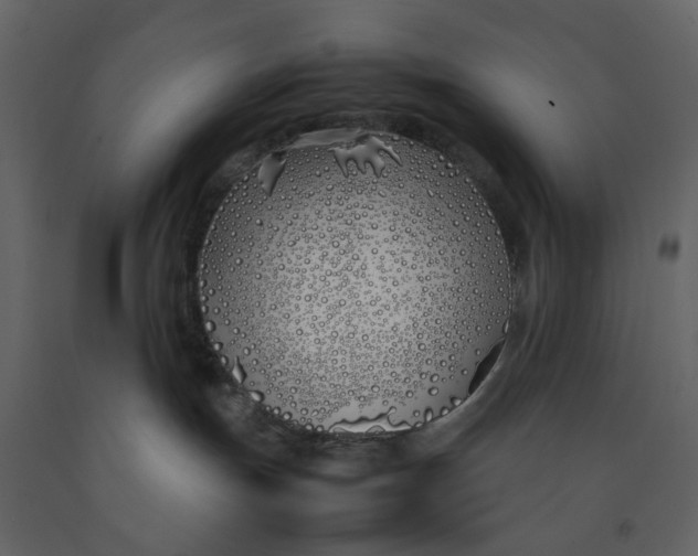 X0000092240191200710051246