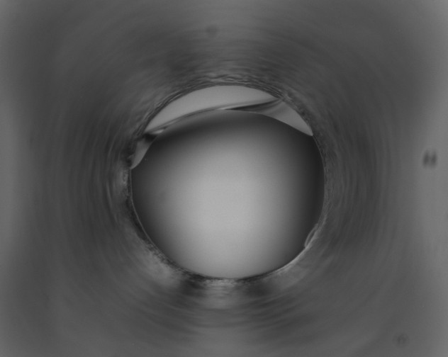 X0000092240192200710051246