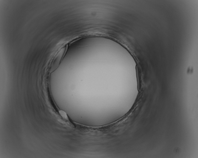 X0000092240193200710051245