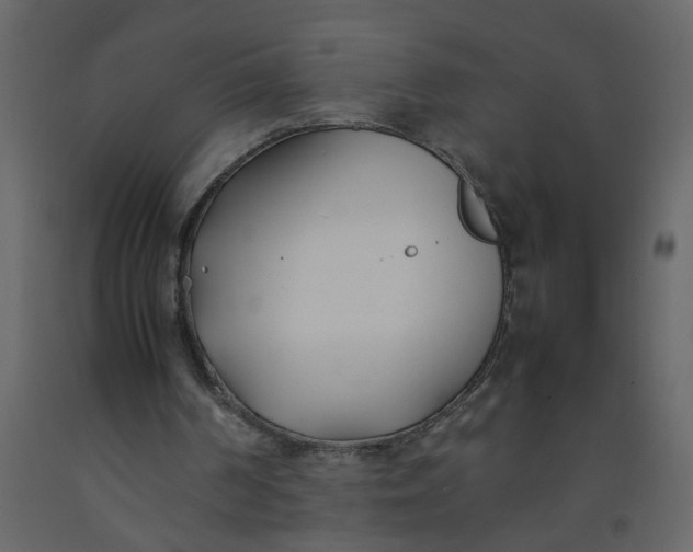 X0000092240194200710051245