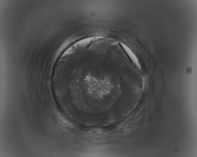 X0000092240195200710051245
