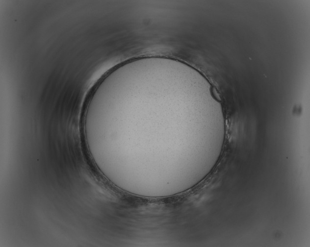 X0000092240196200710051245