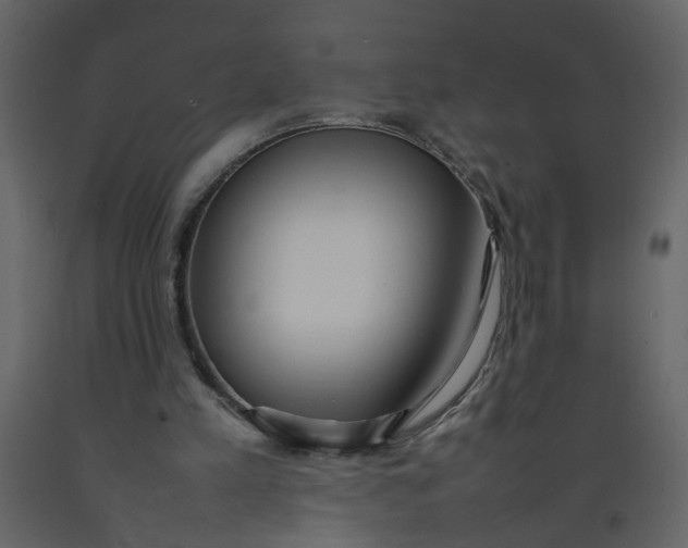 X0000092240197200710051245