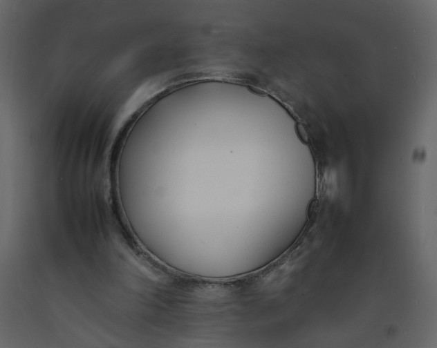 X0000092240198200710051245