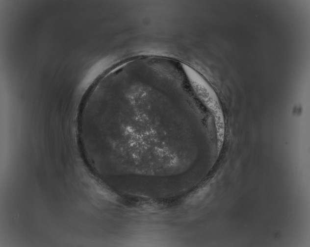 X0000092240199200710051245