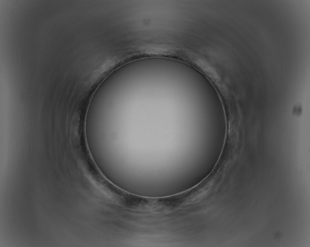 X0000092240201200710051245