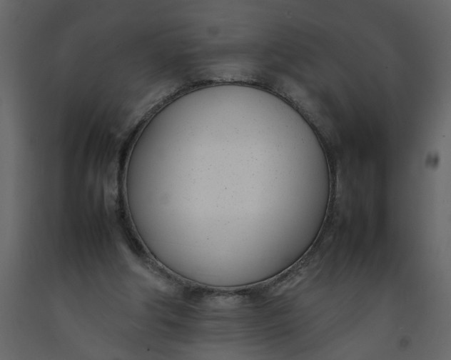 X0000092240202200710051245