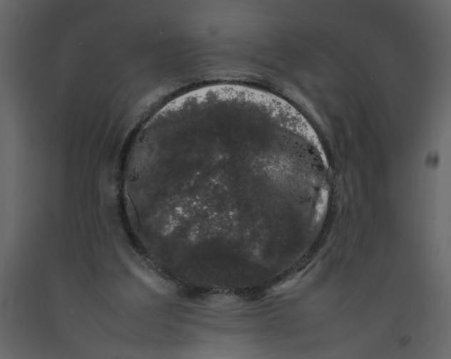 X0000092240203200710051245
