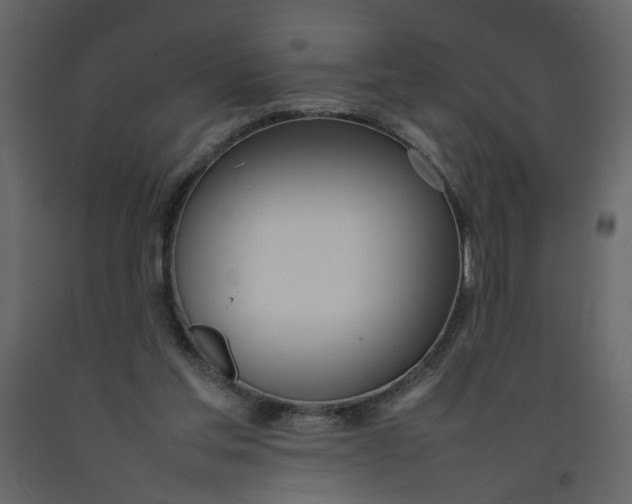 X0000092240205200710051245