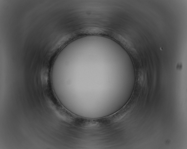 X0000092240206200710051245