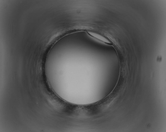 X0000092240207200710051245
