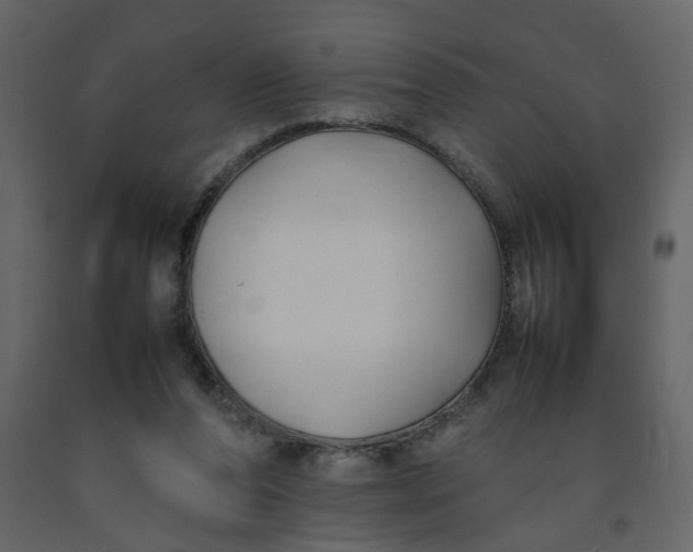 X0000092240208200710051245