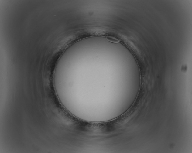 X0000092240209200710051245