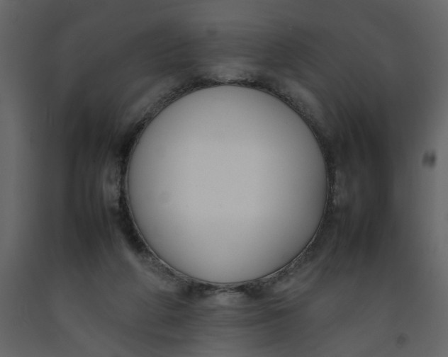X0000092240210200710051245