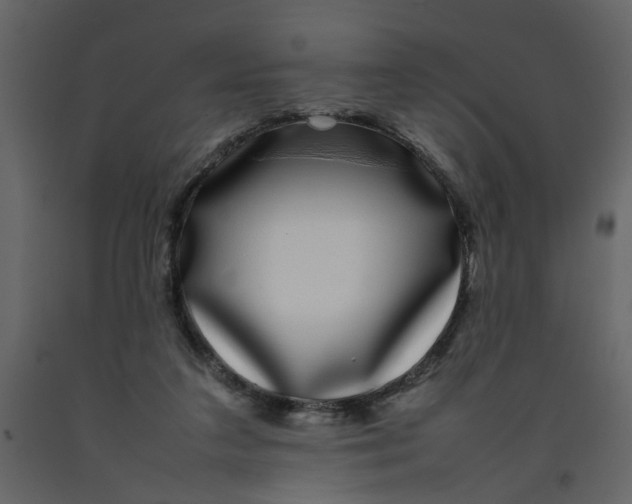 X0000092240211200710051245