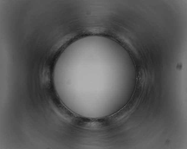 X0000092240212200710051245