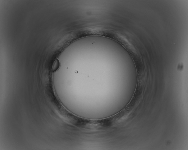 X0000092240213200710051245