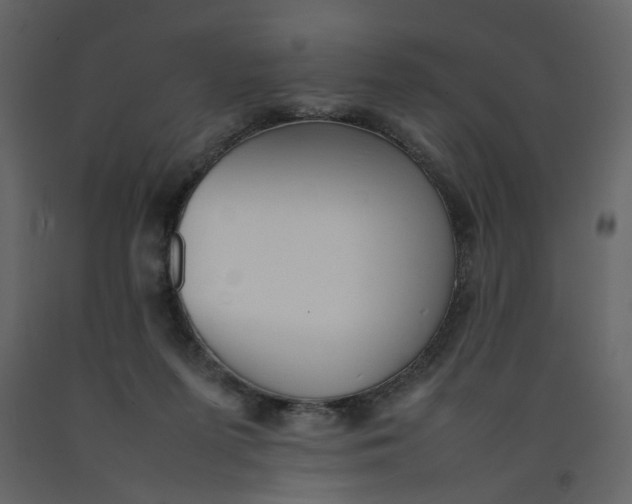 X0000092240215200710051245