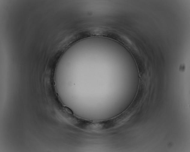 X0000092240217200710051245
