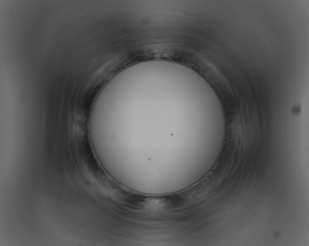 X0000092240218200710051245