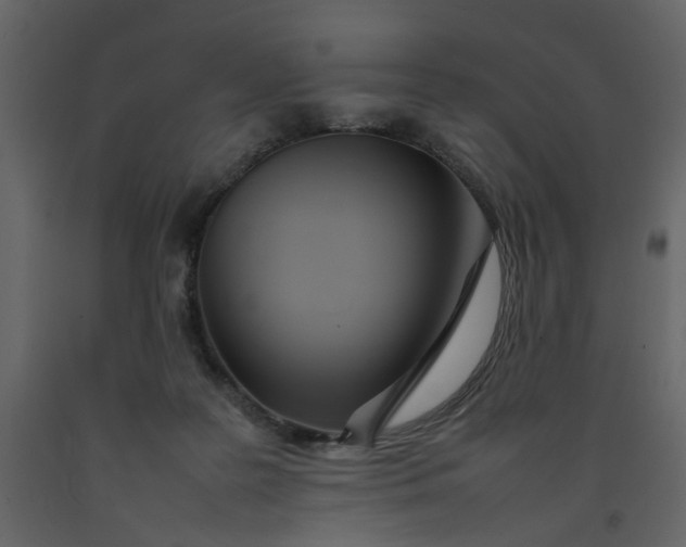 X0000092240219200710051245