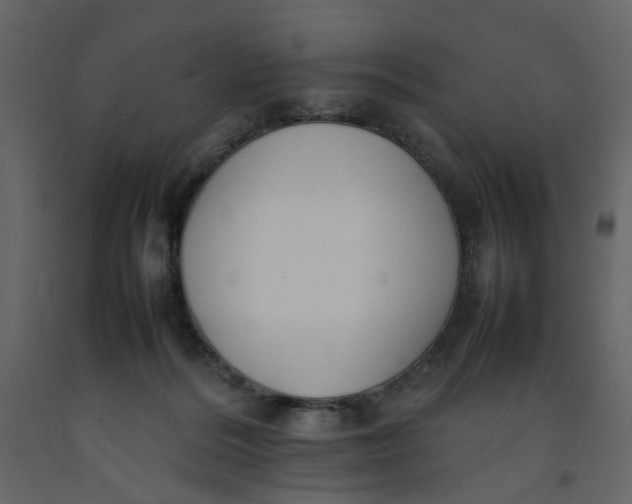 X0000092240220200710051245