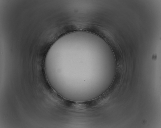 X0000092240221200710051245