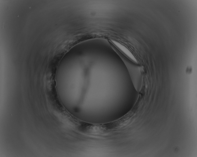 X0000092240223200710051245